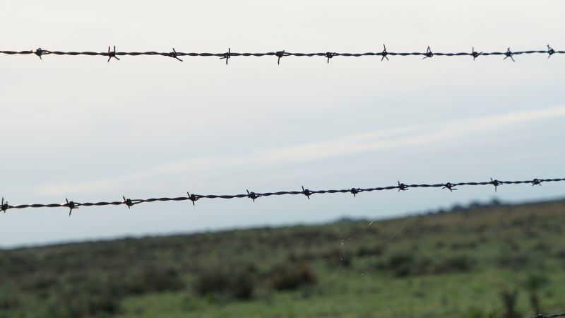 Barbed Wire Fence Replacement detail